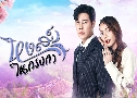 ˧��㹡ç�� (�� 2566) ູ �ѹ����ɮ�� + �վ� �Ѫ���� DVD 6 �蹨�