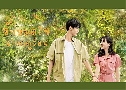 �ѡ���㨹��Ĵ���͹ Summer in Love (2023) DVD 4 �蹨� �Ѻ��