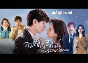�������㨩ѹ South Wind Knows (2023) DVD 8 �蹨� �Ѻ��