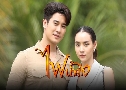 俹�Ӥ�ҧ Game of Love (�� 2568) (���� ����ø�� + �ء�� ��Թ����ѡ��) DVD 7 �蹨�